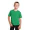 Port & Company® Colors Fan Favorite™ Youth T-Shirt